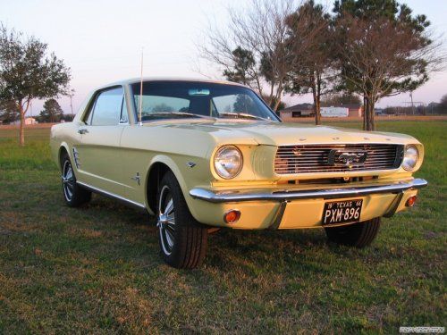 Ford Mustang -  1