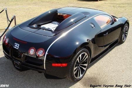  1350  Bugatti Veyron Centenaire -  6