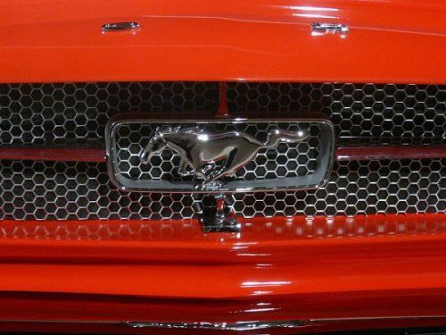  Mustang -  3