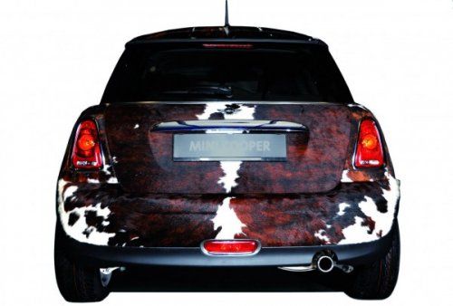 Mini Cooper    -  5