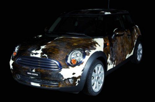 Mini Cooper    -  7